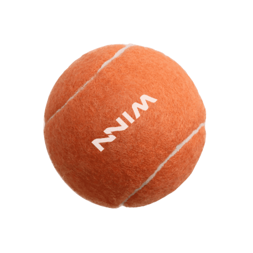 Printed Pet Tennis Ball with a design from Total Merchandise