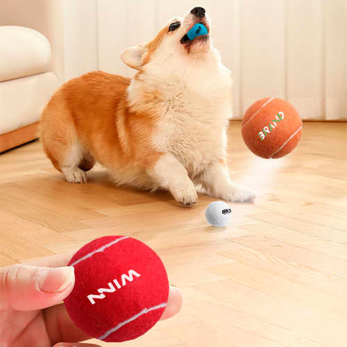 Lifestyle image of the Pet Tennis Ball from Total Merchandise