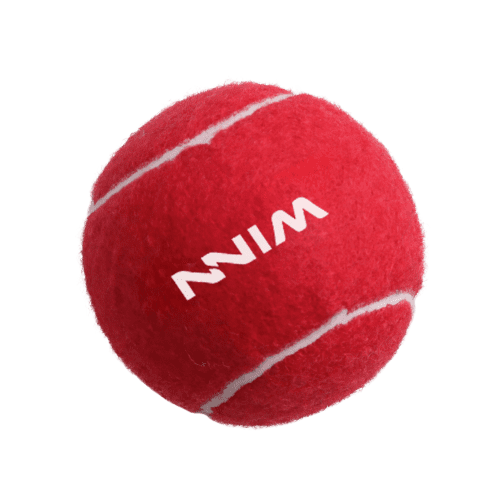 Branded Pet Tennis Ball in Red from Total Merchandise