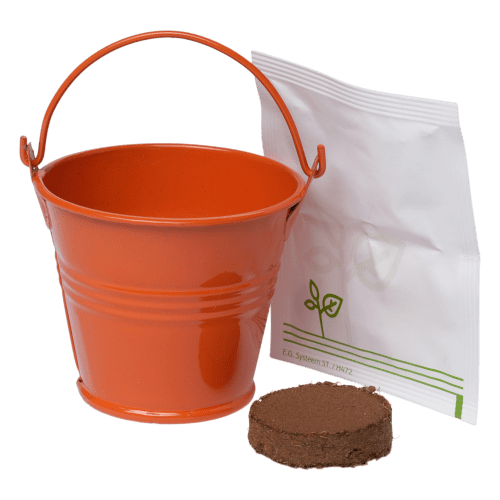 Mini Bucket Flower Grow Kit in Amber