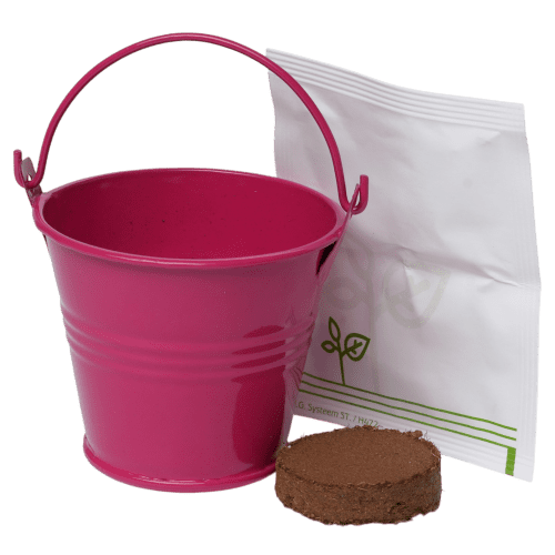 Mini Bucket Flower Grow Kit in Pink