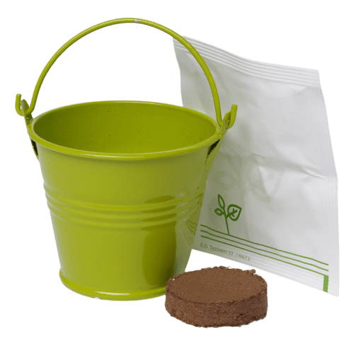 Mini Bucket Vegetable Grow Kit in Green