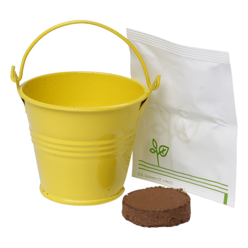 Mini Bucket Vegetable Grow Kit in Yellow