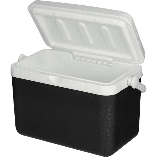Customisable 4 Litre Cooler Box in Black branded with your logo from Total Merchandise