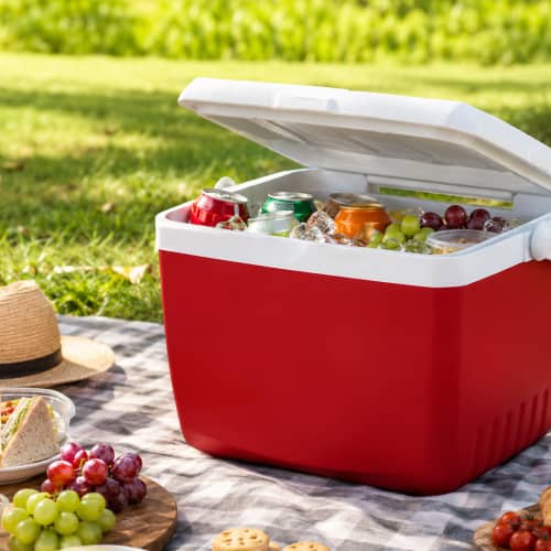 13 Litre Cooler Box