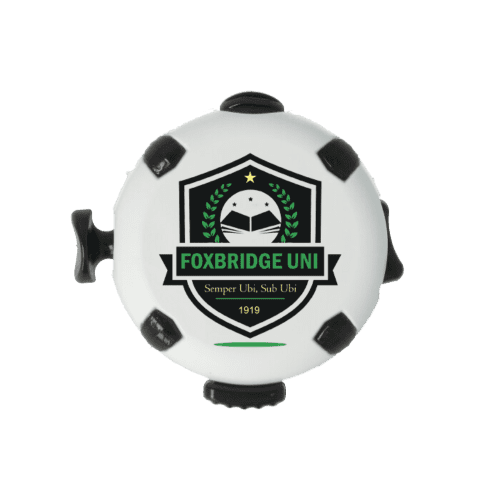 Company Branded Fidget Puck by Total Merchandise