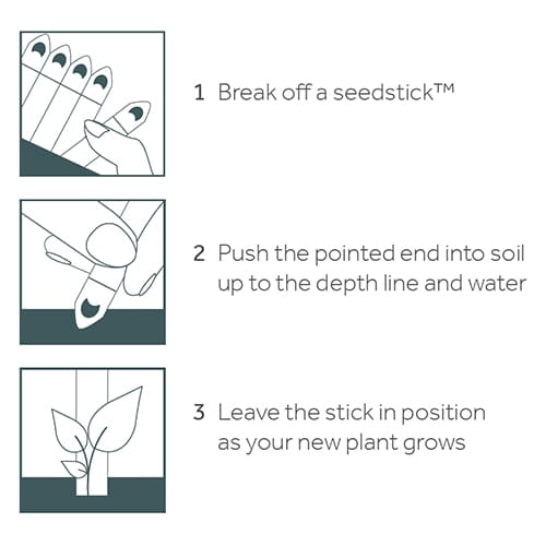 Branded Seedsticks® printed with your logo and corporate design from Total Merchandise