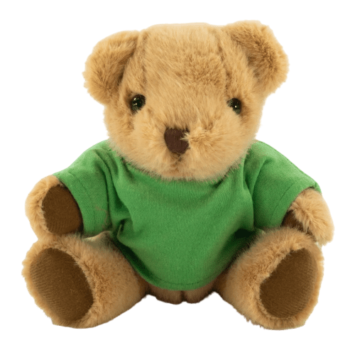 20cm Honey Jointed Bear with T-Shirt in Brown/Green