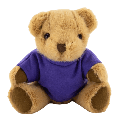 20cm Honey Jointed Bear with T-Shirt in Brown/Purple