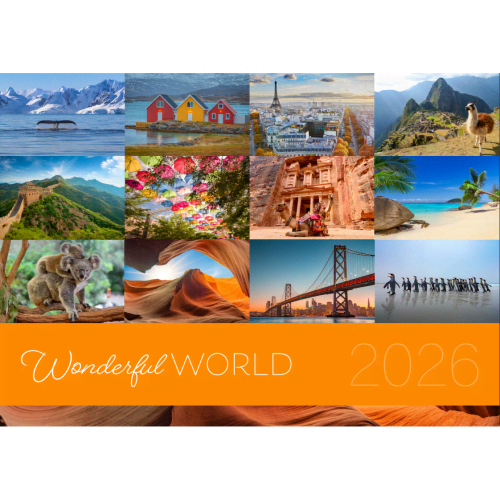 Wiro Calendar and Sticky Note Set Deluxe