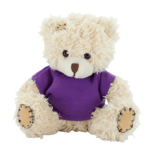 12cm Paw Teddy Bear With T-Shirt in Cappuccino/Purple