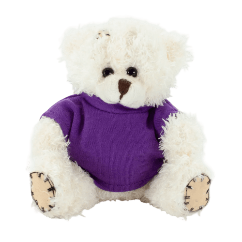 12cm Paw Teddy Bear With T-Shirt in Latte/Purple