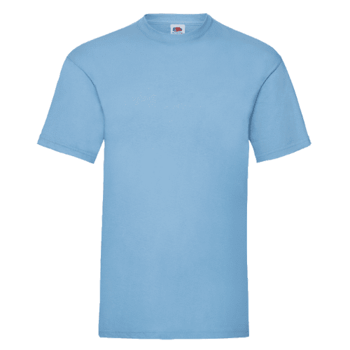 Branded Fruit of the Loom Valueweight T-Shirts in sky blue from Total Merchandise