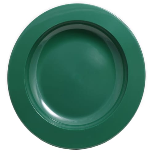 Unbreakable Plastic Plates in Green