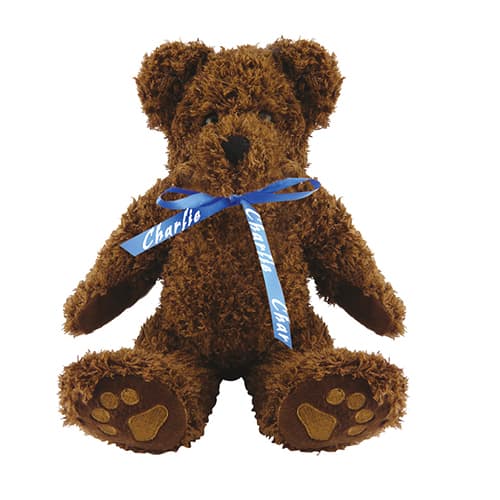 10 Inch Charlie Teddy Bears