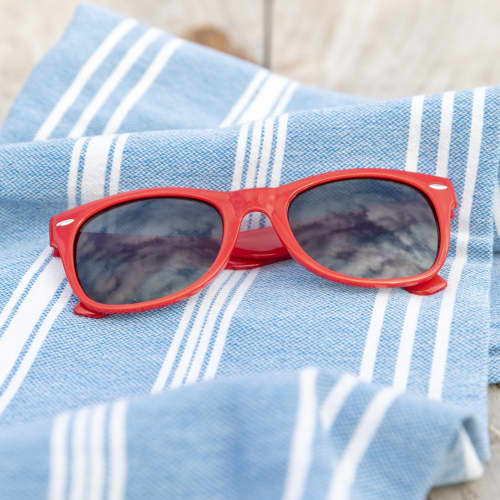 Classic Wayfarer Style Sunglasses