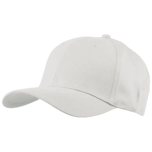 3D Embroidered Caps in White
