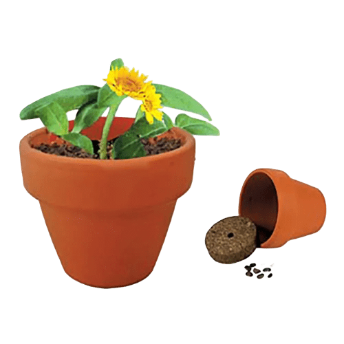 Custom Printed Plant Pot for Corporate Branding