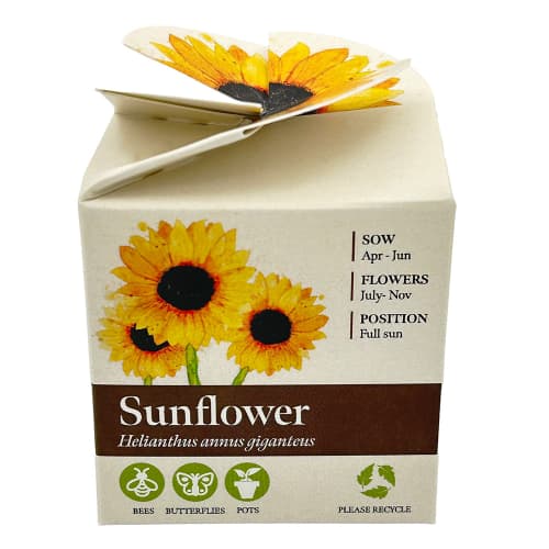 Custom Printed Tiny Terracotta Cubes with Sunflower Seeds with a Company Logo from Total Merchandise