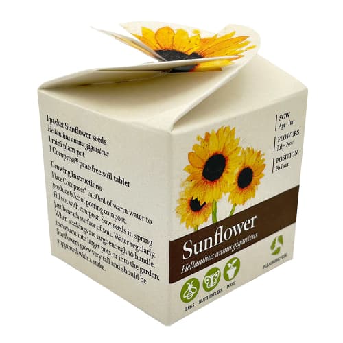 Custom Branded Tiny Terracotta Cubes with Sunflower Seeds with a Company Logo from Total Merchandise