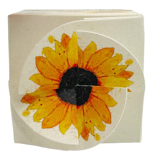 Top View of Promotional Tiny Terracotta Cubes with Sunflower Seeds from Total Merchandise