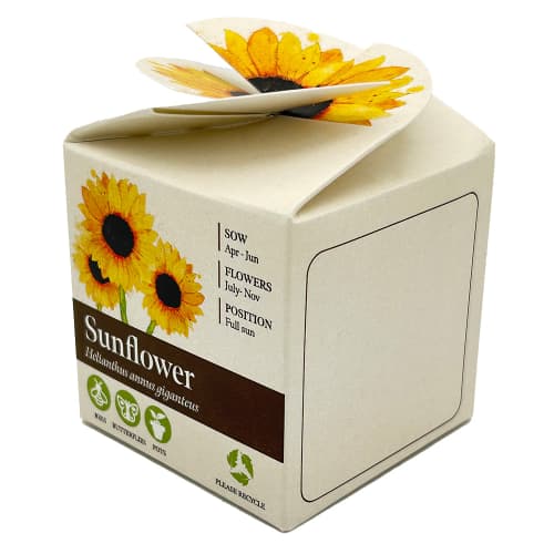 Promotional Tiny Terracotta Cubes with Sunflower Seeds with a Company Logo from Total Merchandise