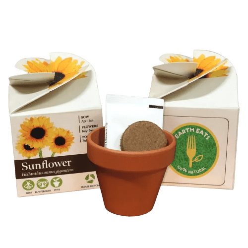Promotional Tiny Terracotta Cubes for Marketing Gifts by Total Merchandise