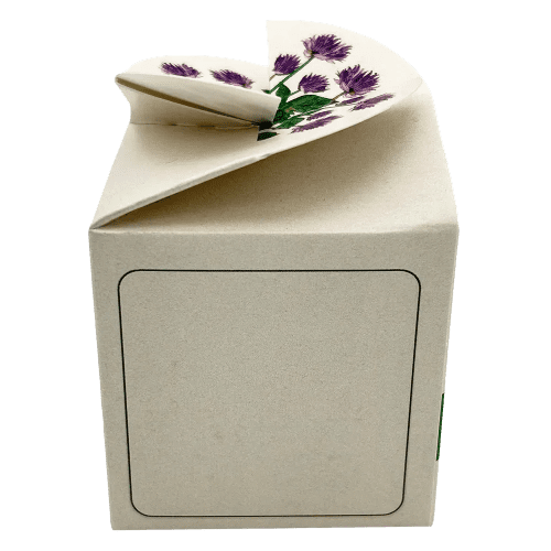 Branded Tiny Terracotta Cubes with Kitchen Herbs Ready for Printing with a Logo by Total Merchandise