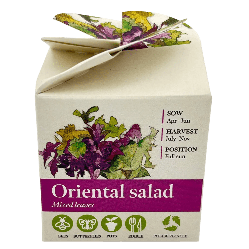 Custom Printed Tiny Terracotta Cubes with Oriental Salad with a Company Logo from Total Merchandise