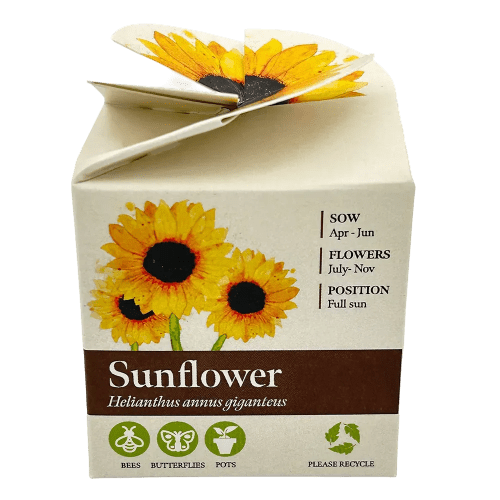 Custom Printed Tiny Terracotta Cubes with Sunflower Seeds with a Company Logo from Total Merchandise