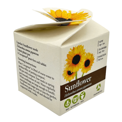 Custom Branded Tiny Terracotta Cubes with Sunflower Seeds with a Company Logo from Total Merchandise