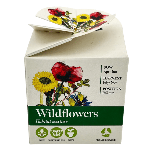 Custom Printed Tiny Terracotta Cubes with Wildflower Seeds with a Logo from Total Merchandise
