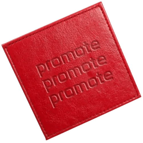 Darwin PU Leather Look Coasters in Red