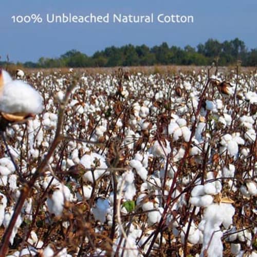 Organic T Shirts