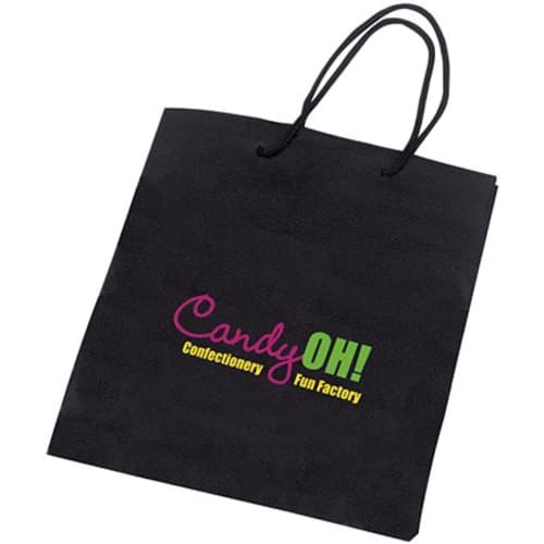 Non Woven Gift Bags