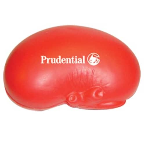 Stress Kidney