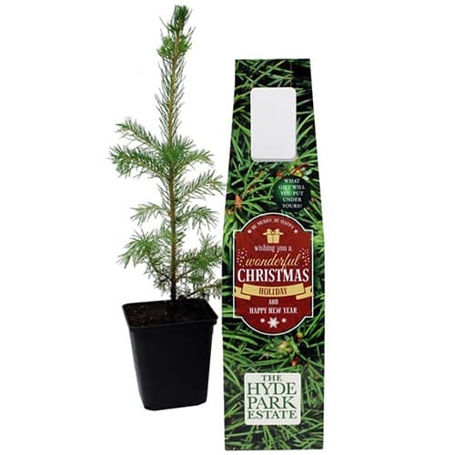 Branded Christmas Tree for Corporate Gifts