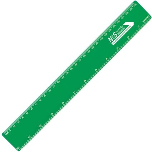 Plastic 30cm Coloured Rulers