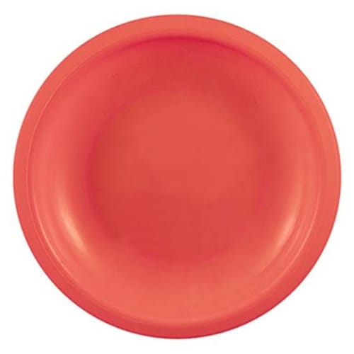 Reusable Plastic Plates