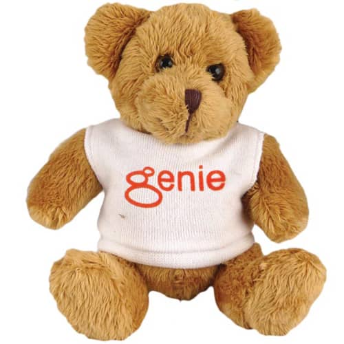 Promotional 5 Inch Robbie Teddy Bears with a company printed t-shirt from Total Merchandise