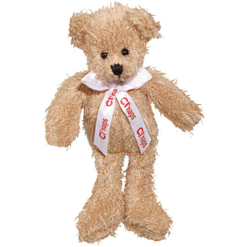 Promotional Scraggy Teddy Bears for Marketing Gifts