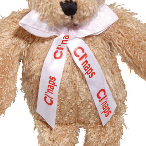 Branded Teddies for Childrens Events