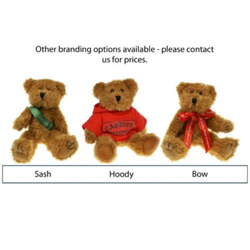 Sparkie Bear 20cm