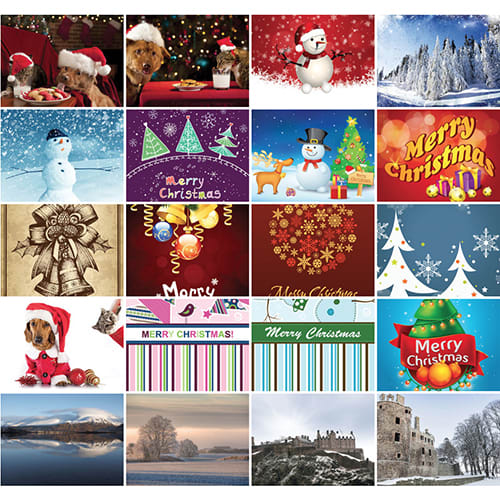 Choose from our vibrant stock imagery to create your branded greeting cards for your campaign.