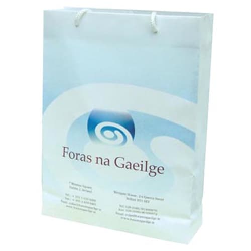 Large Rope Handle Paper Carrier Bag