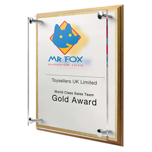 Personalised Award for Business Merchandise