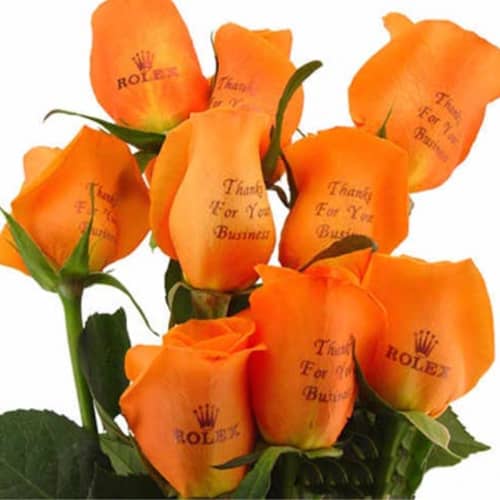 Personalised Roses