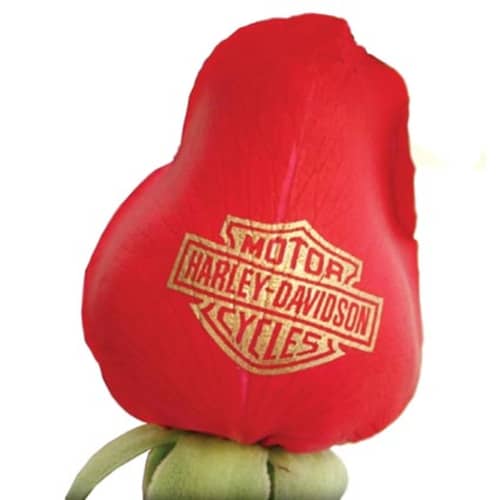 Personalised Roses