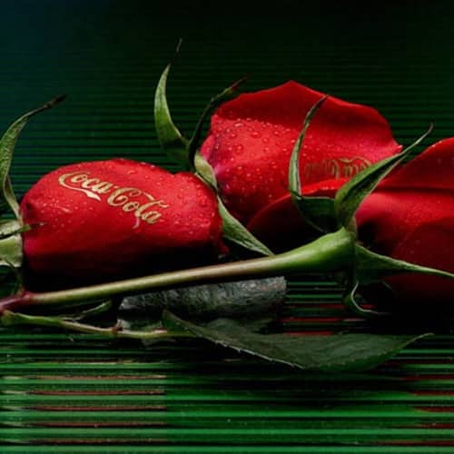 Personalised Roses
