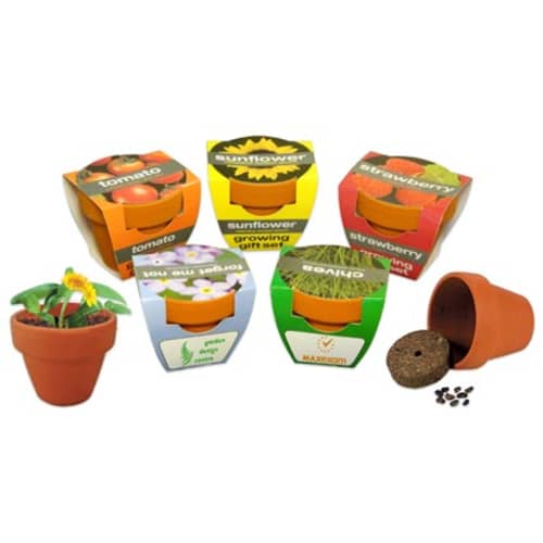 Promotional Plants for Spring Merchandise